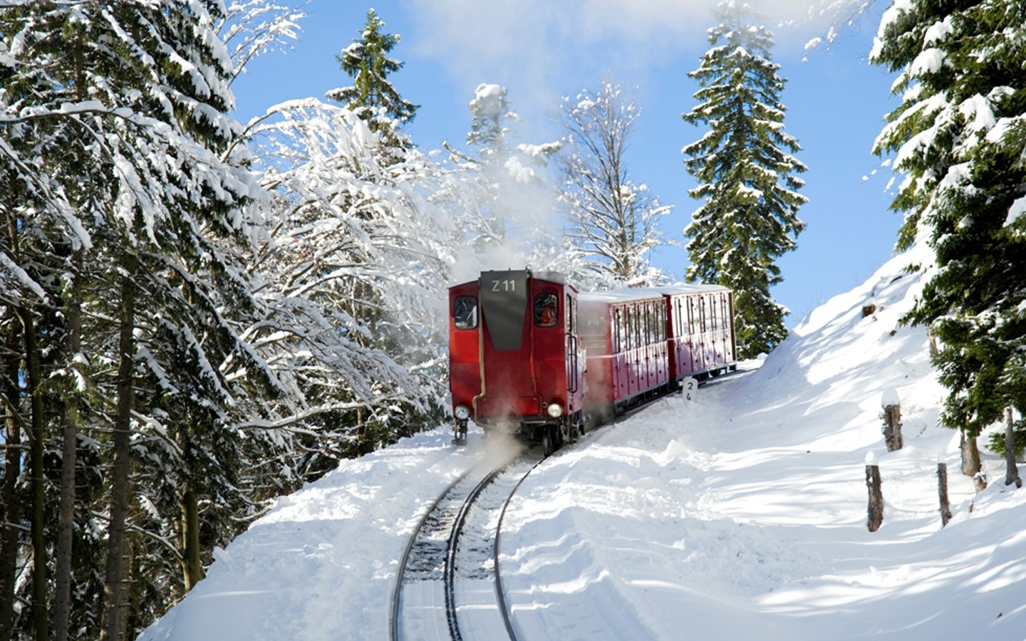SchafbergBahn fährt durch eine Winterwaldlandschaft auf den Schafberg