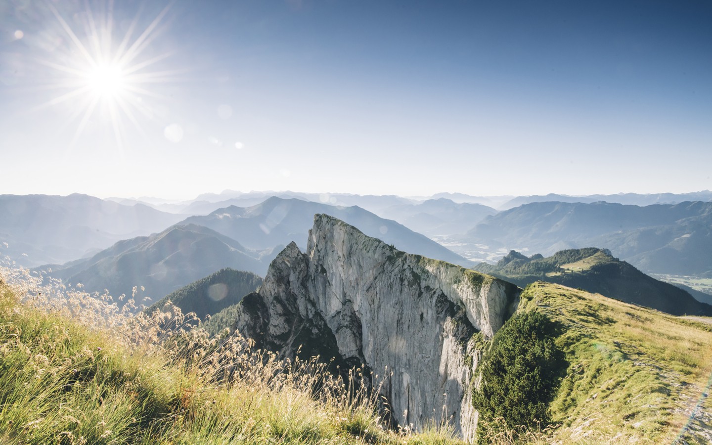 Der Berg die Spinnerin im Salzkammergut an einem Sommertag mit hochstehender Sonne 