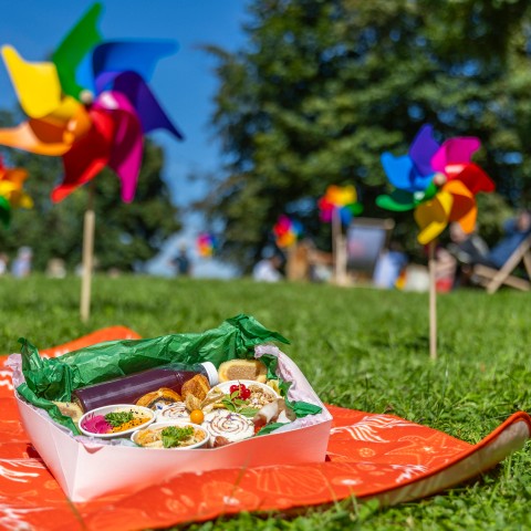 Picknicktag am Mönchsberg Salzburg, 20230902 Foto: wildbild, Herbert Rohrer