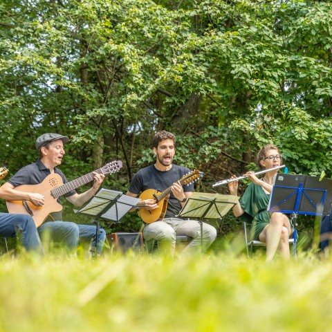 Picknicktag am Mönchsberg Salzburg, 20230902 Foto: wildbild, Herbert Rohrer
