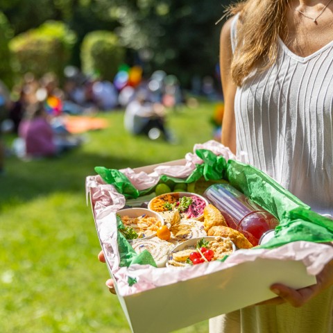 Picknicktag am Mönchsberg Salzburg, 20230902 Foto: wildbild, Herbert Rohrer